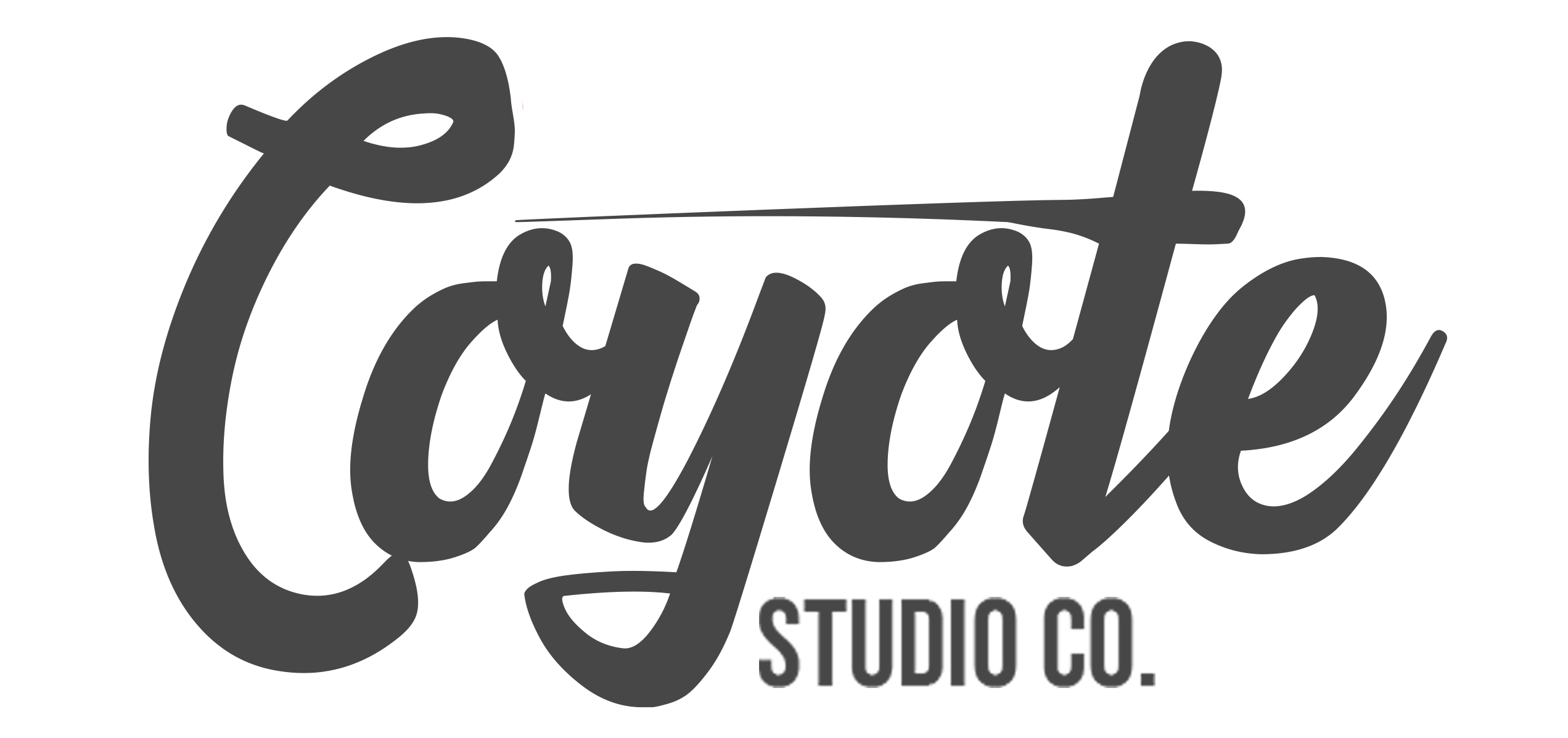 Coyote Studio Co